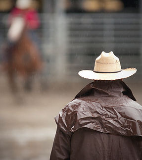 Cowboy at the Rodeo