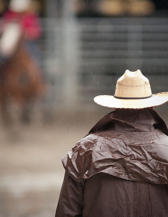 Cowboy at the Rodeo
