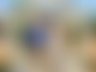 9-Day Wildlife Adventure ✅