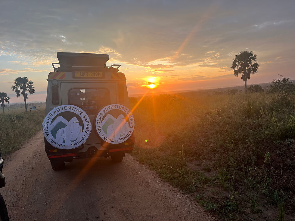 Travel Update: UK Government Lifts Advisory for Queen Elizabeth National Park (Dec 2025)