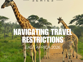 Navigating East Africa Travel Restrictions 2026: What to Expect from Your Tour Operator During a Health Alert