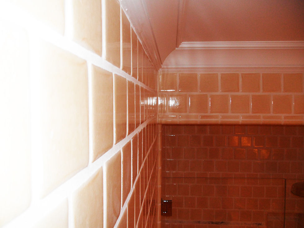 Leonardo Construction, Home Construction, Home Remodels_FV.JPG