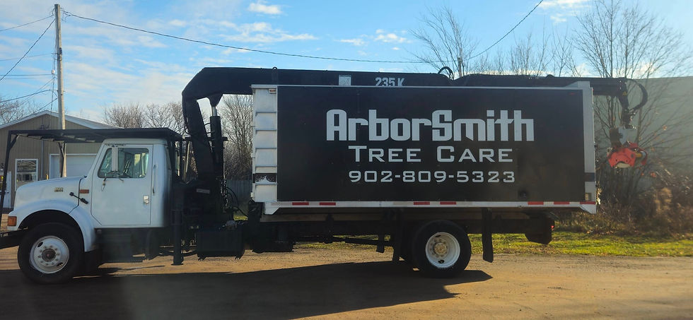 Arborsmith Tree Care truck with logo and phone number parked for work in Central Nova Scotia.
