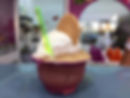 HELADOS