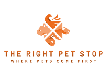 FullLogo_Transparent.png