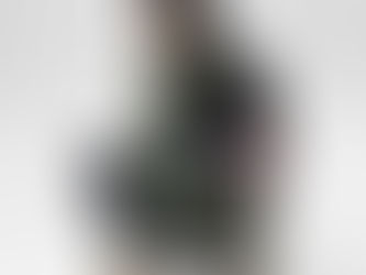 Estonia and Latvia united flag bag