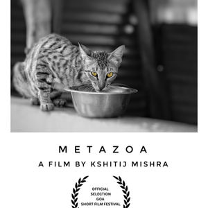 METAZOA