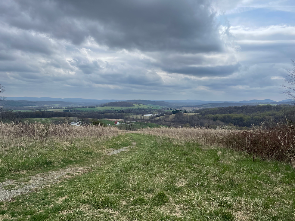 No cows here today, though. I was vaguely disappointed.