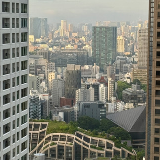 View from the room