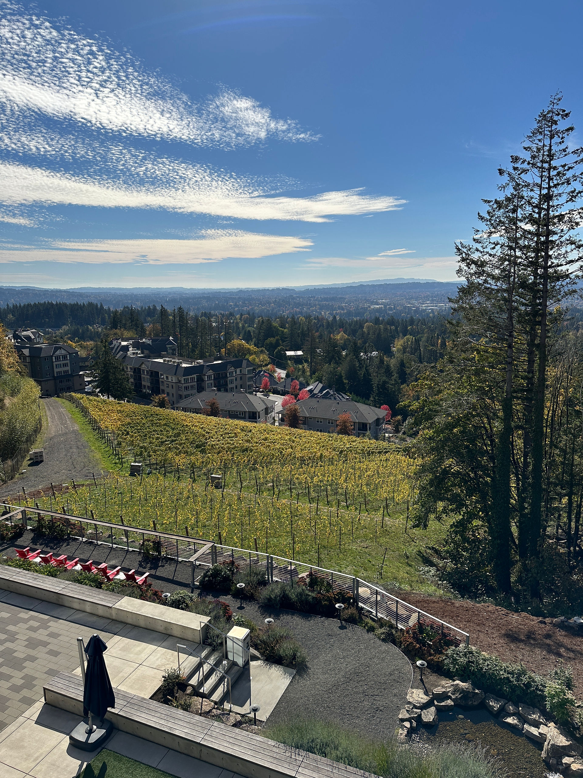 Amaterra Winery 