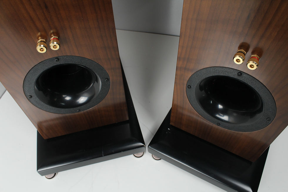 Thumbnail: Salk SongTower Speakers