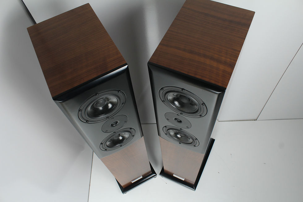 Thumbnail: Salk SongTower Speakers