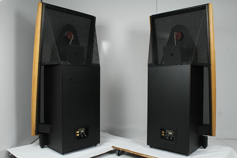 Thumbnail: Dahlquest Phased Array Model DQ- 20 speakers. Available at Electric City Repair Denver Colorado