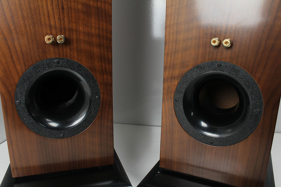 Thumbnail: Salk SongTower Speakers