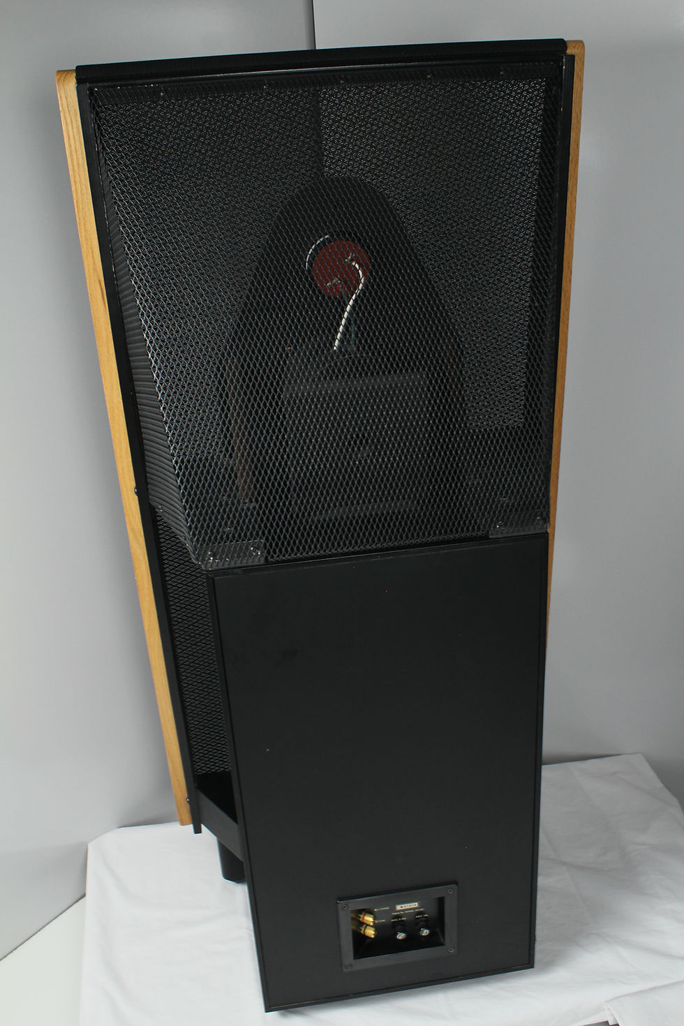 Thumbnail: Dahlquest Phased Array Model DQ- 20 speakers. Available at Electric City Repair Denver Colorado