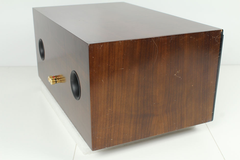 Thumbnail: Salk Songcenter Speaker. Available at Electric City Repair Denver Colorado