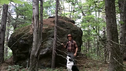 nuggets in the big woods