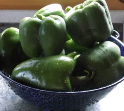 big bells from the garden
