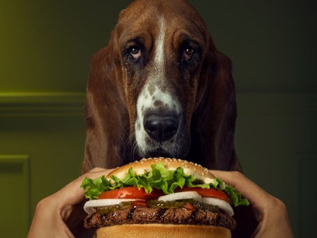 The Five-Paragraph Formula