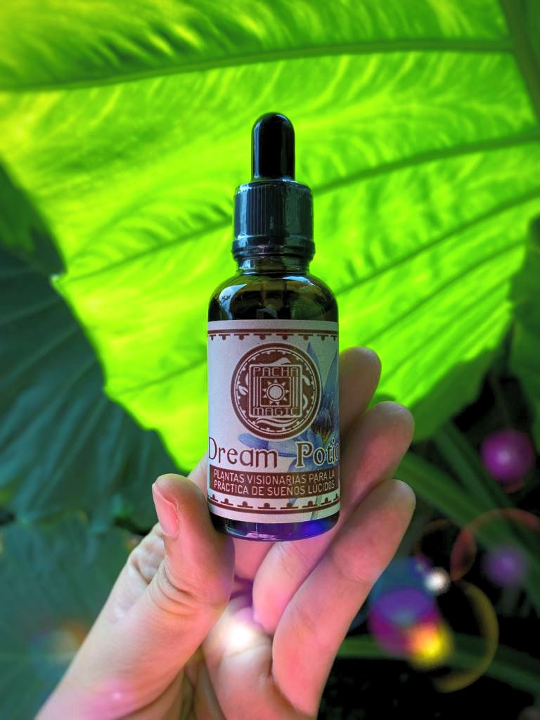 Miniatura: Dream Potion
