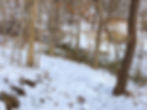 Icy streams, snow-covered bridges and snow drifts define winter in the woods.