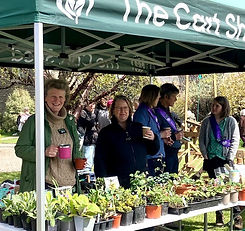 Plant Fair 2023 stand.jpg