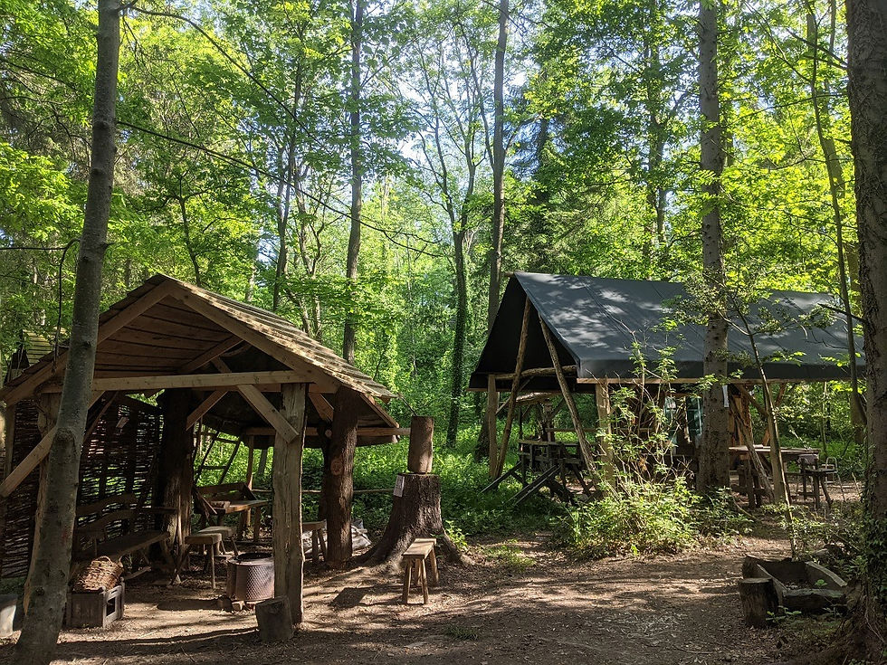 Woodland site.jpg