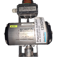 Pneumatic