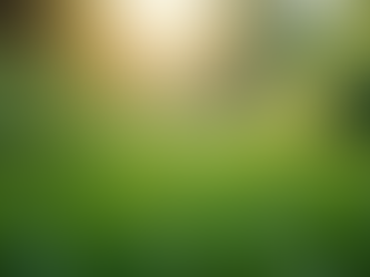 The Importance of Sustainable Living in Today's World