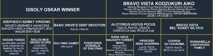 Родословная_Биг+Акварель.png