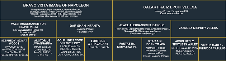 Родословная_Чивас+Гера.png
