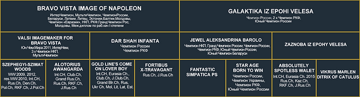 Родословная_Биг+Акварель.png