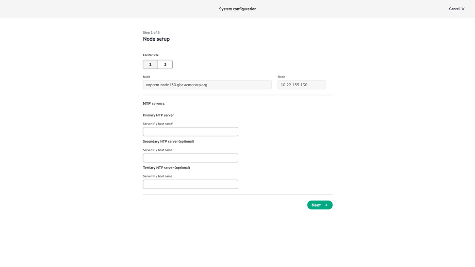 Cluster setup - single node (default) - all blank.png