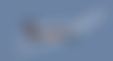 Wings of Destiny: The Epic Journey to Buying Our Mooney