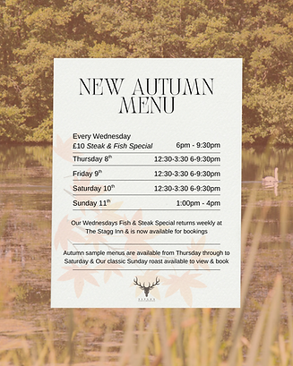 autumn web banner image.png