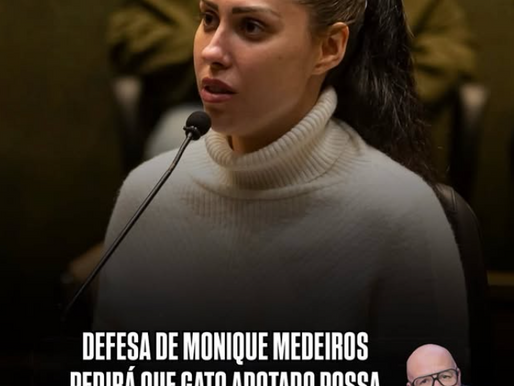 Defesa de Monique Medeiros pede autorização para manter gato de estimação em presídio