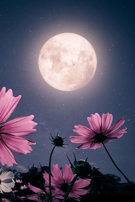 flores luna.webp
