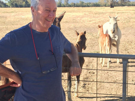 Guest Blog - Molines Bistro Hunter Valley NSW