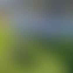 Using Training Balls to Train Your German Shepherd