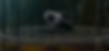 360.png