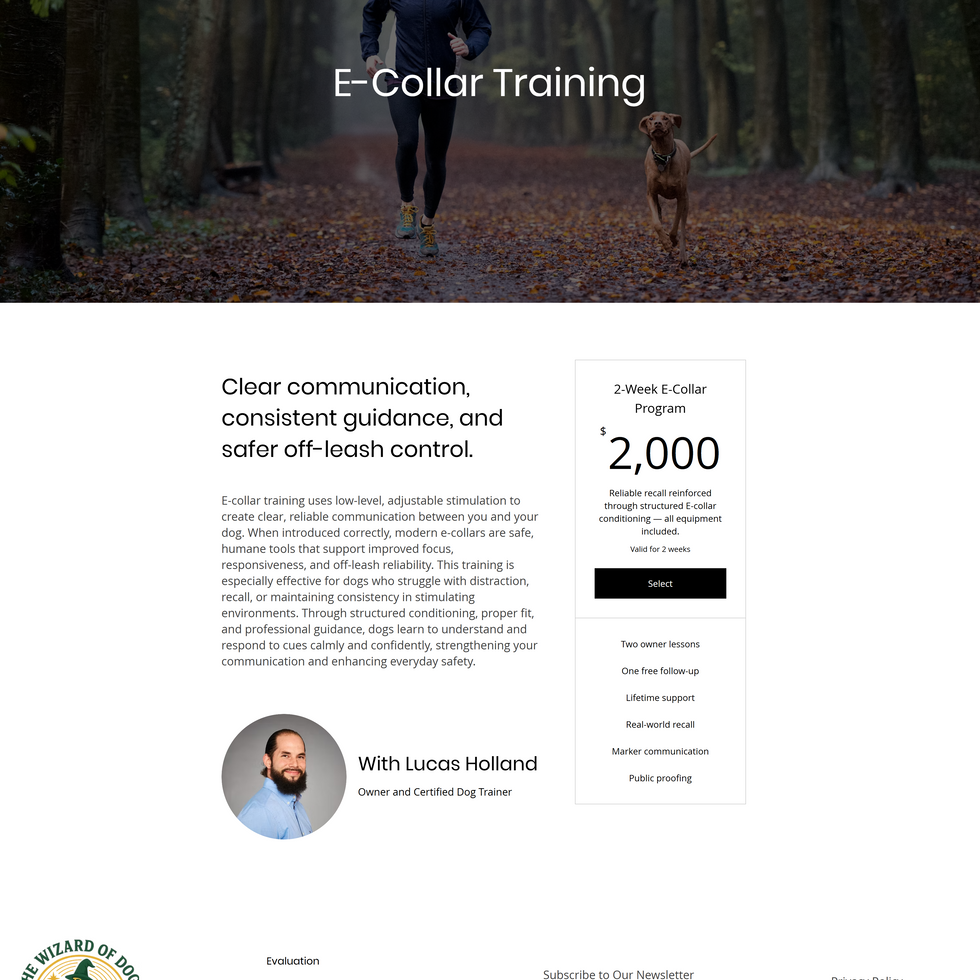 E-Collar Training website with person and dog featuring the Wix subscription plan integration