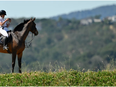 Equestrian in white gear on a brown horse takes a photo with hills in the background, set in a grassy field under a clear sky.