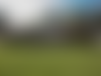 1721 Stony Dr, Kinston, NC 28501