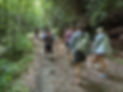 Gratitude Hikes