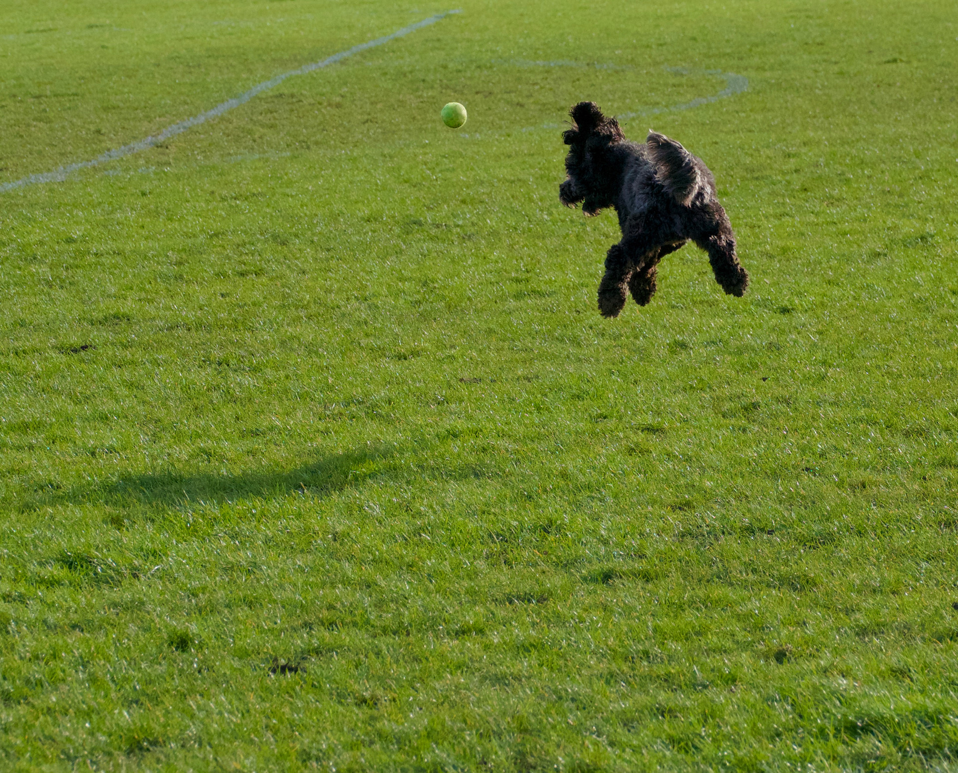 Spot the ball