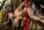 Aerial Silk with Snake