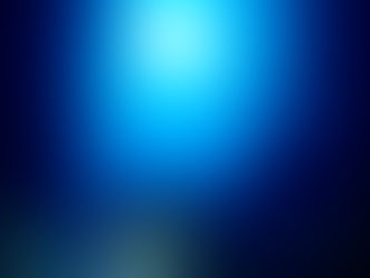 北風ビュービューでも潜れちゃう!【冬ポイントも面白い♩愛南ダイビングツアー】2022/12/14-15