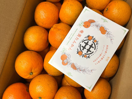 奄美のたんかん