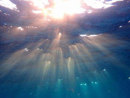 【島ステイ、カメが見たいなら高確率で見れる鵜来島ダイビングツアーへGO!】11/7-11/8