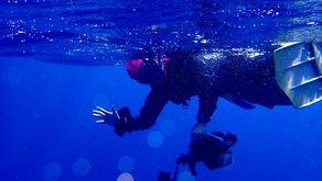 沖縄那覇少人数でザトウジラスイム！【毎年恒例ザトウクジラスイム!】2/20(金）-23（祝月）